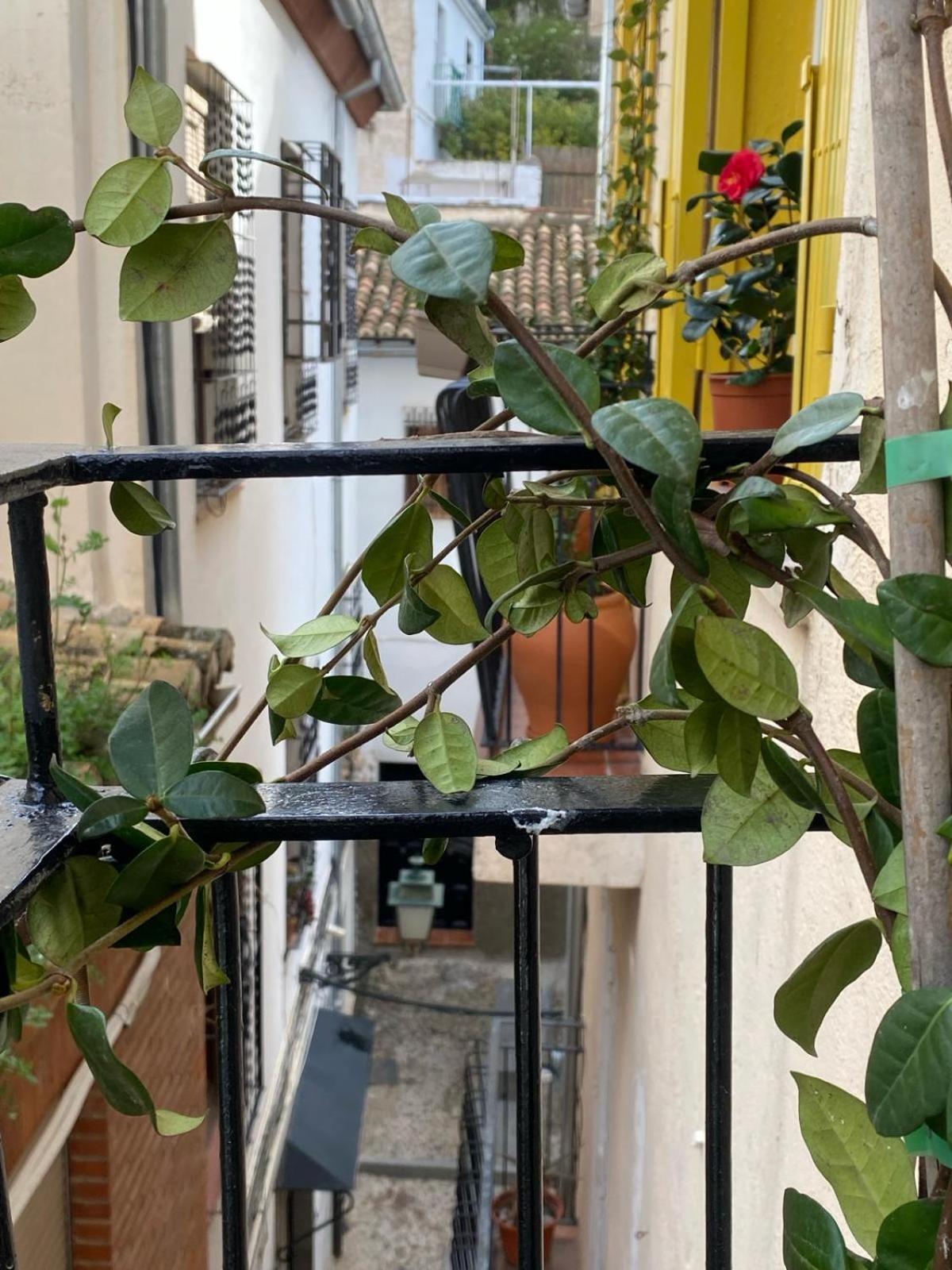 Apartamento Home Stagging New Life Granada Eksteriør billede
