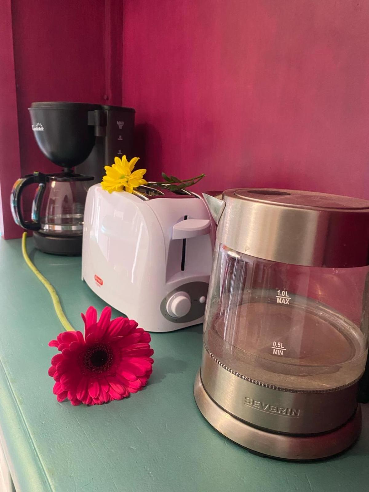 Apartamento Home Stagging New Life Granada Eksteriør billede